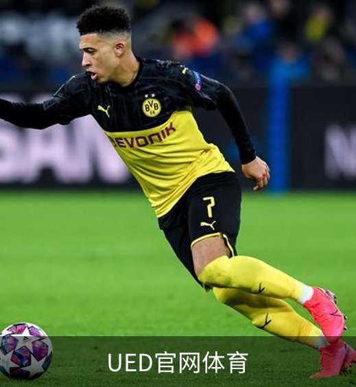 UED官网体育简介